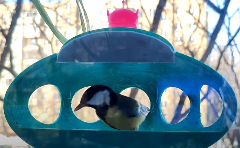 Mangeoire à oiseaux pour fenêtre - Design extraterrestre