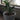 Pot de base pour plantes