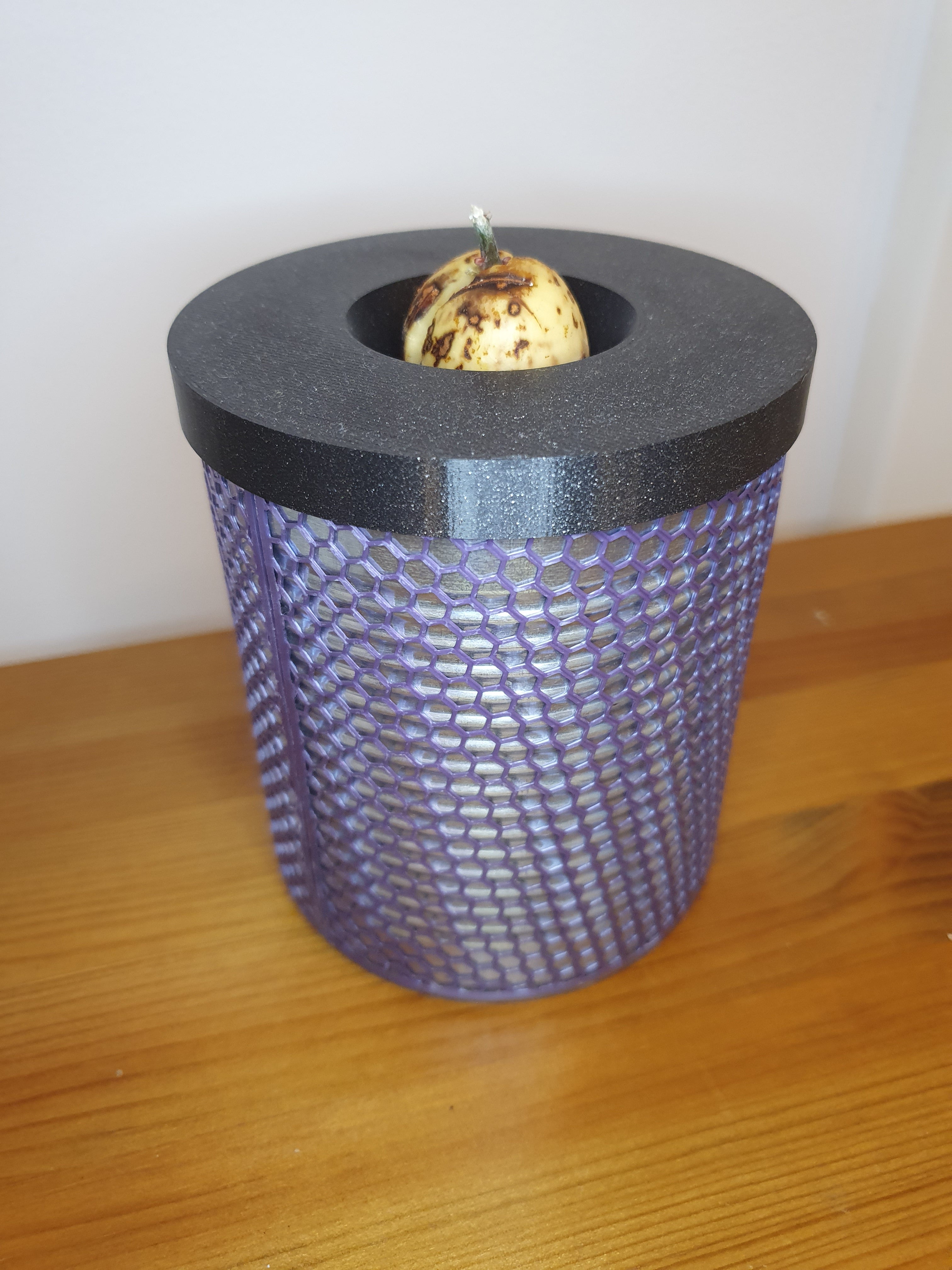 Vase à avocat pour canette de recyclage