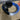 Bandeau de remplacement pour casque sans fil Sony Gold