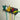 Crochets de cordon de mesure muraux