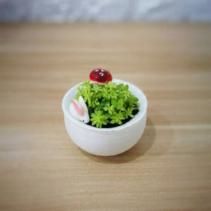 Pot pour succulentes avec soucoupe pratique