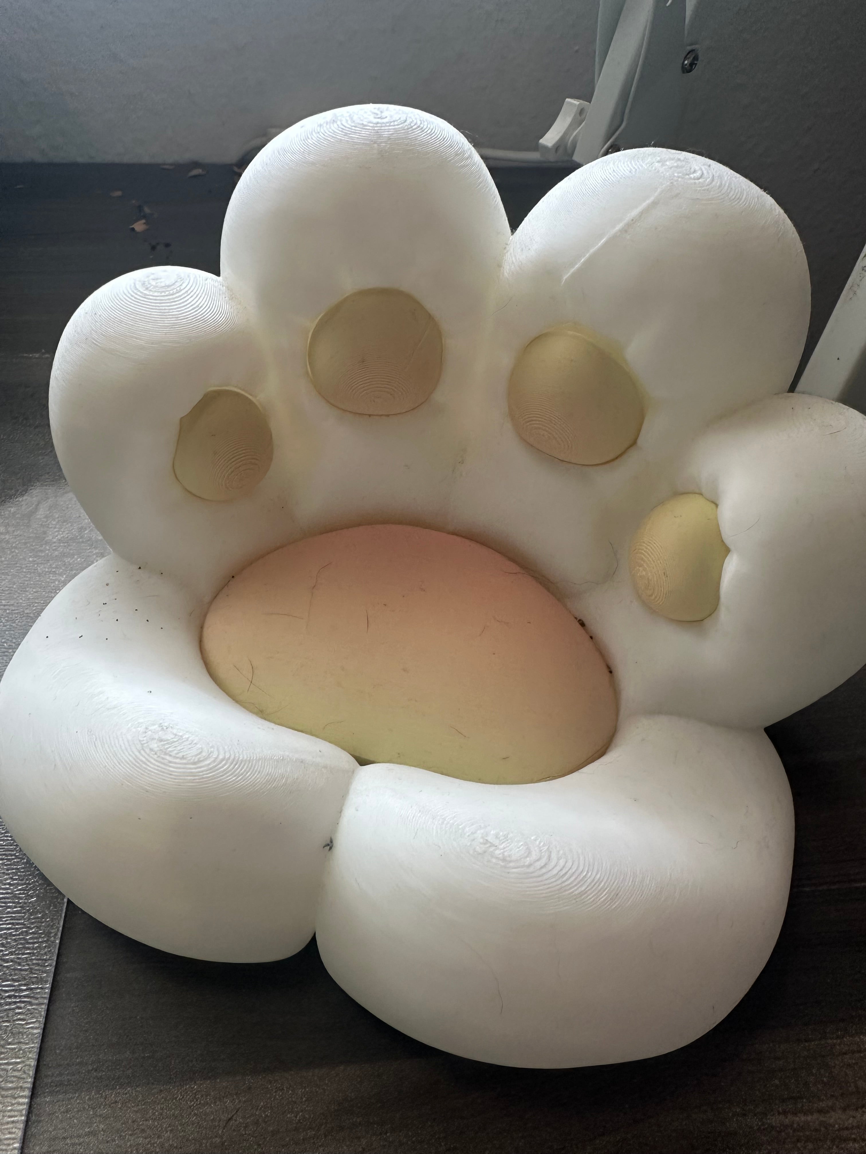 Plateau pour patte de chat mignon pour le bureau