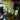 Support à plantes mural pour le bord des aquariums
