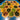 Ensemble d'éléments de construction Catan