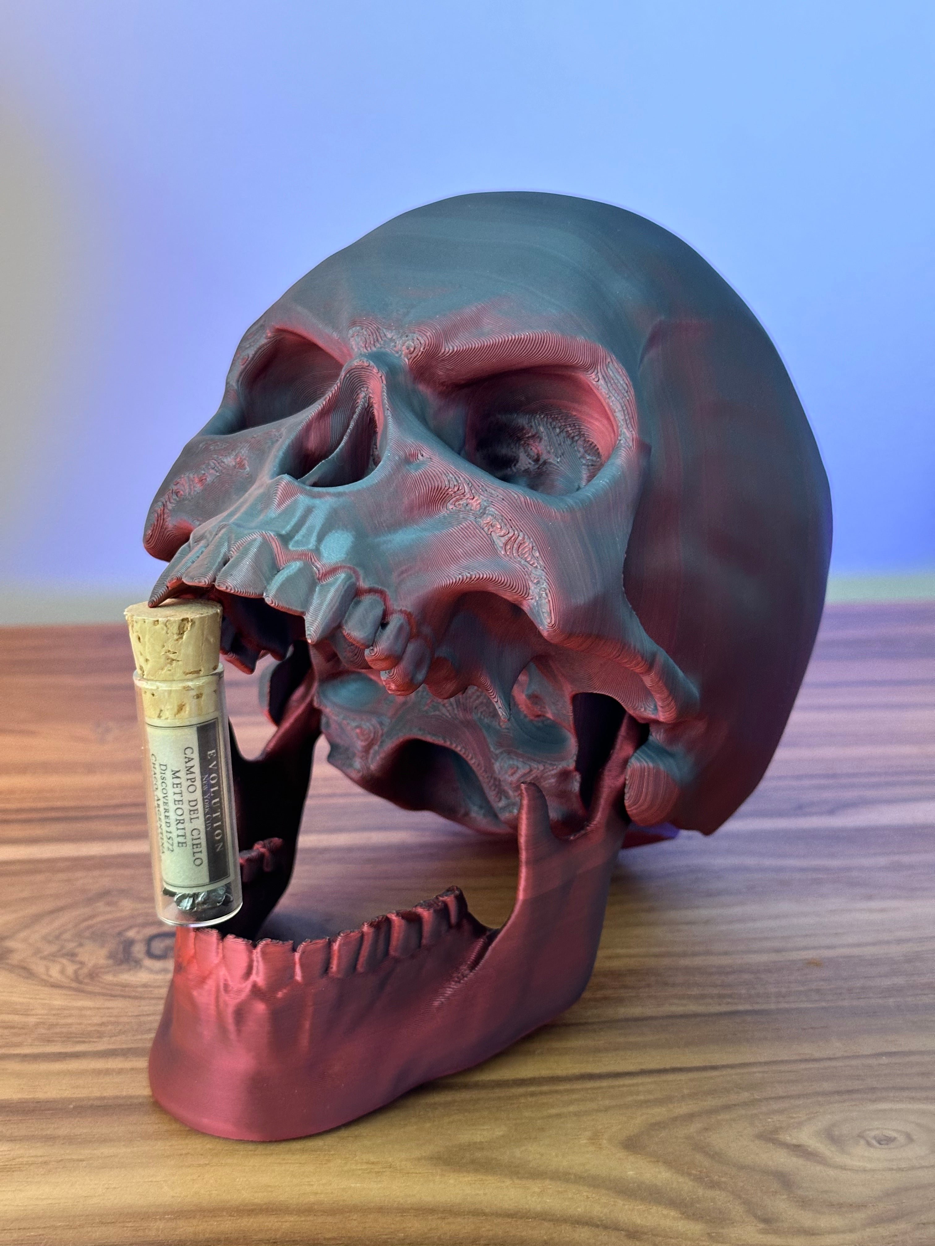 Crânes articulés pour décoration d'Halloween