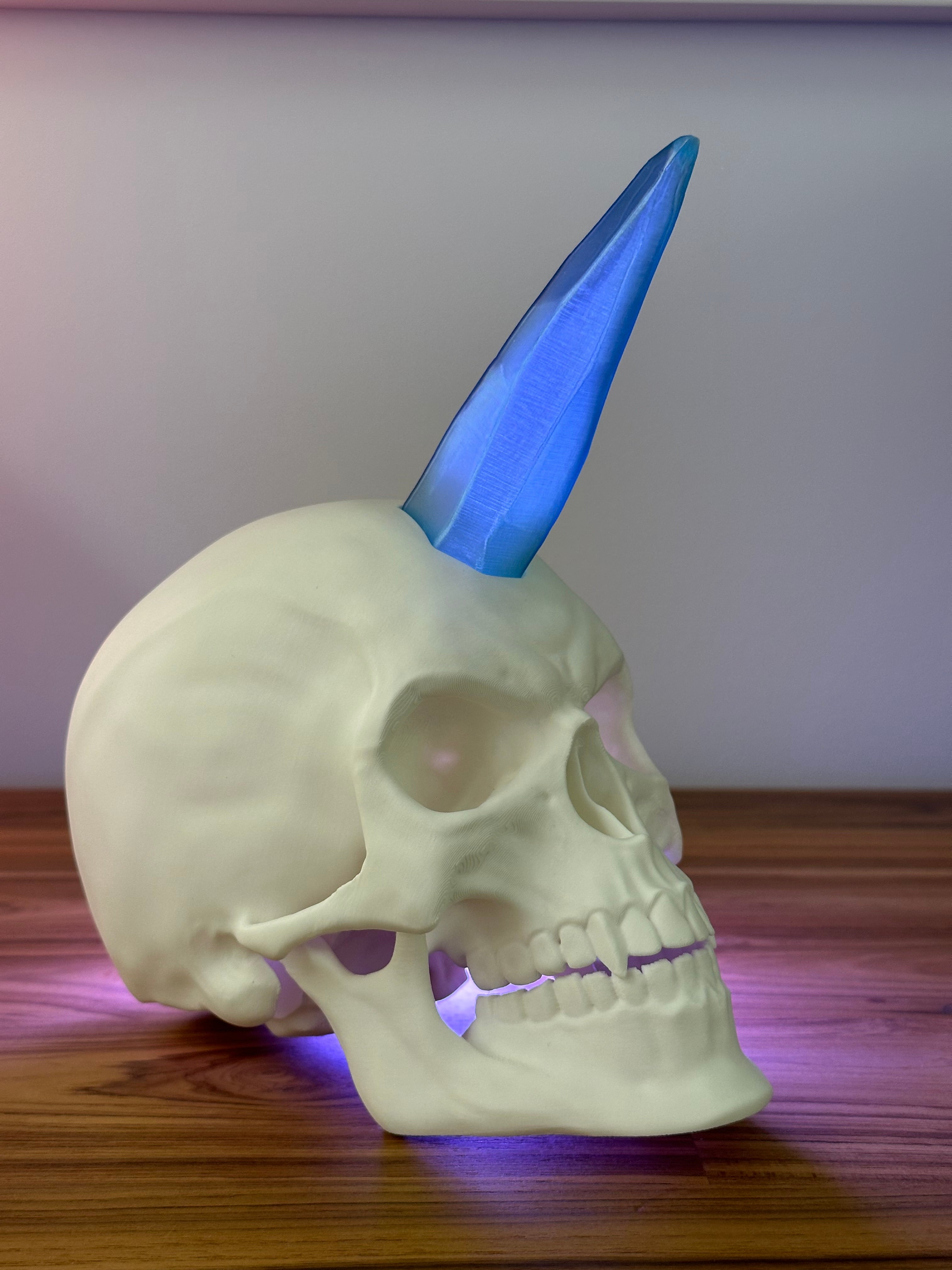 Crânes articulés pour décoration d'Halloween