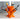 Pot à crayons organique pour bureau et espace de travail