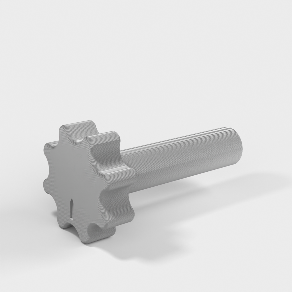 My 3D Model