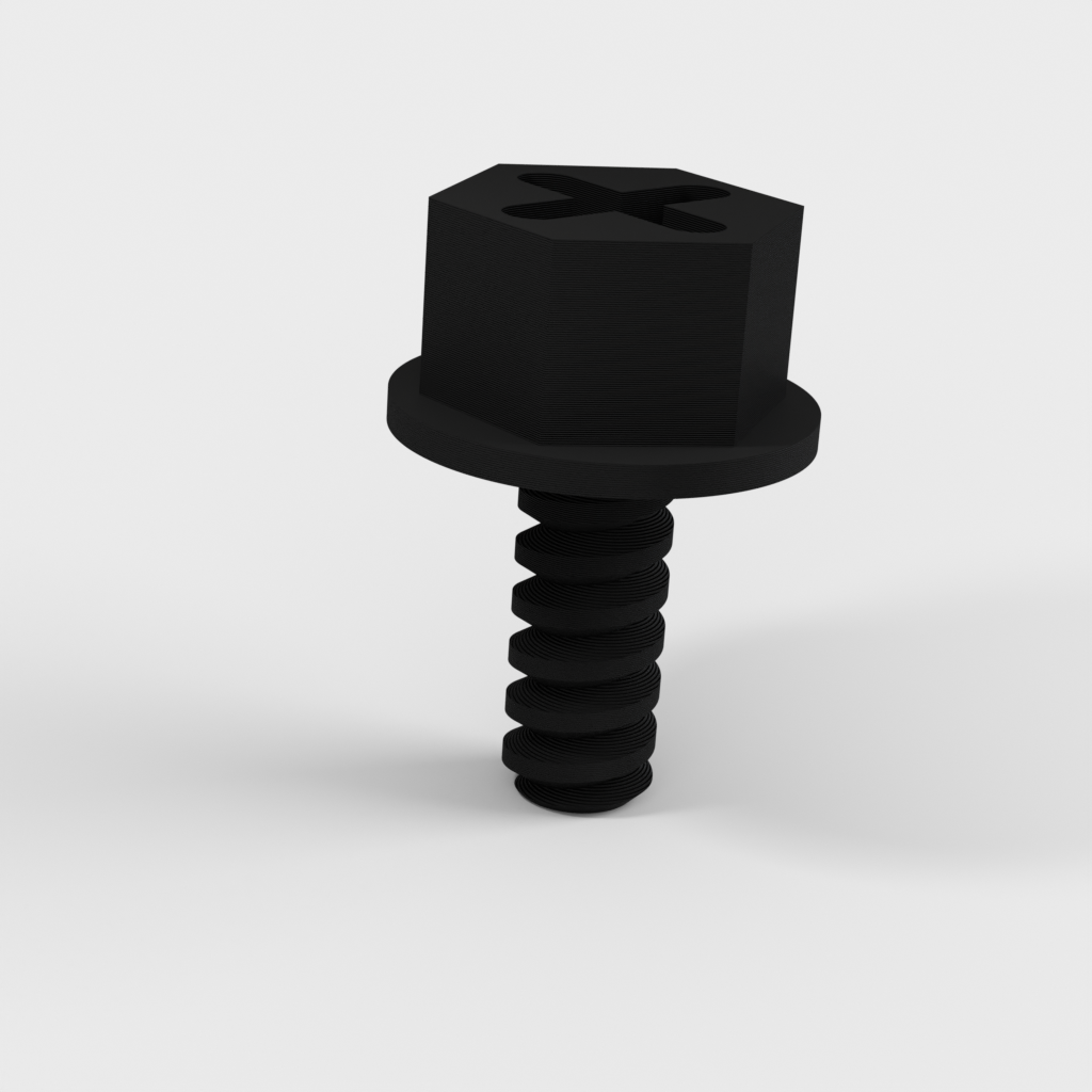 My 3D Model