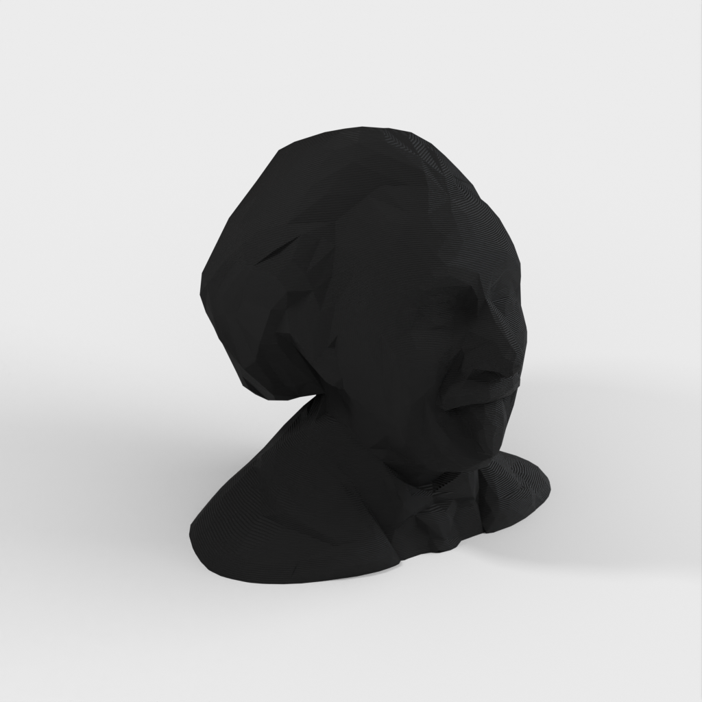 Low Poly Albert Einstein Buste/Sculpture