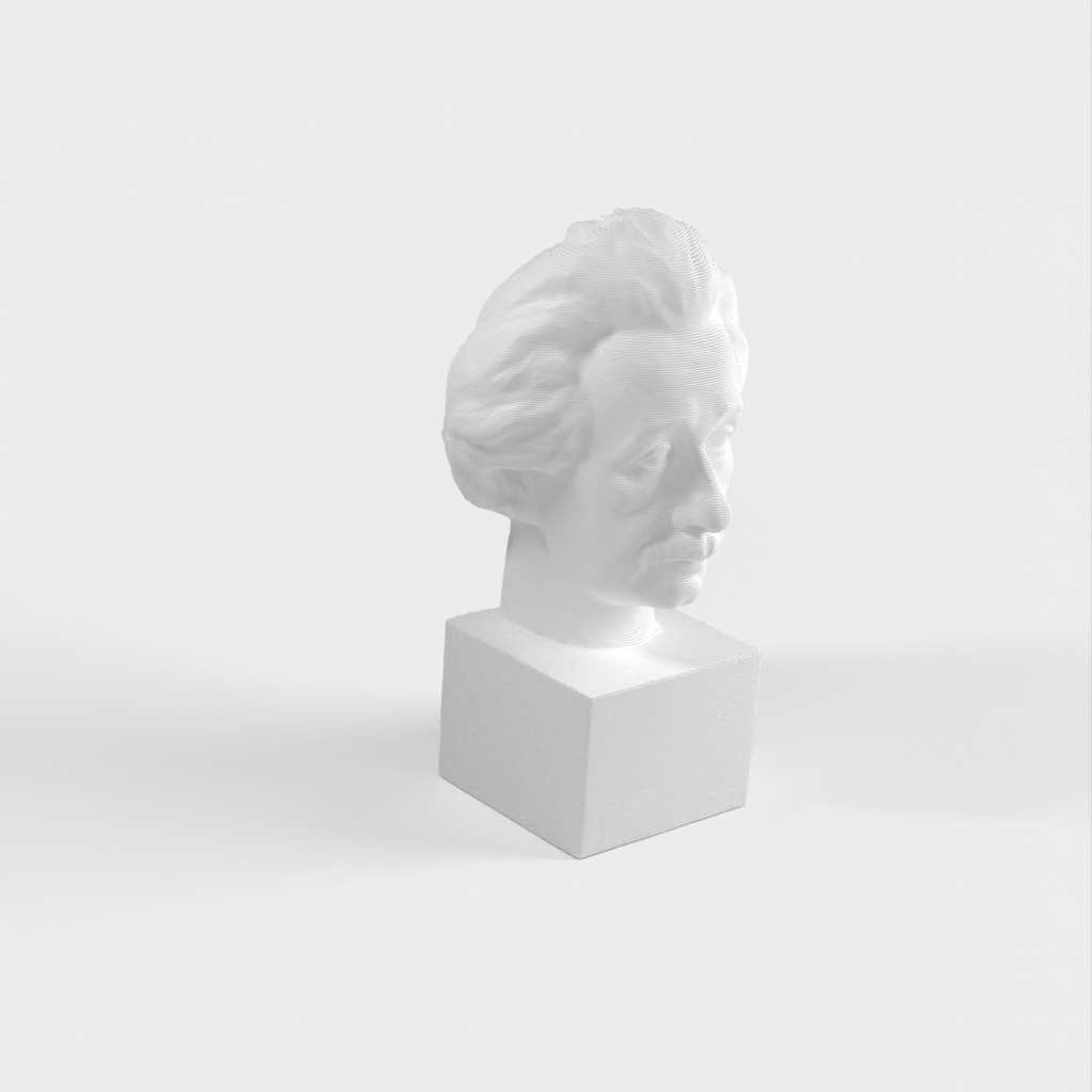 Buste d&#39;Einstein