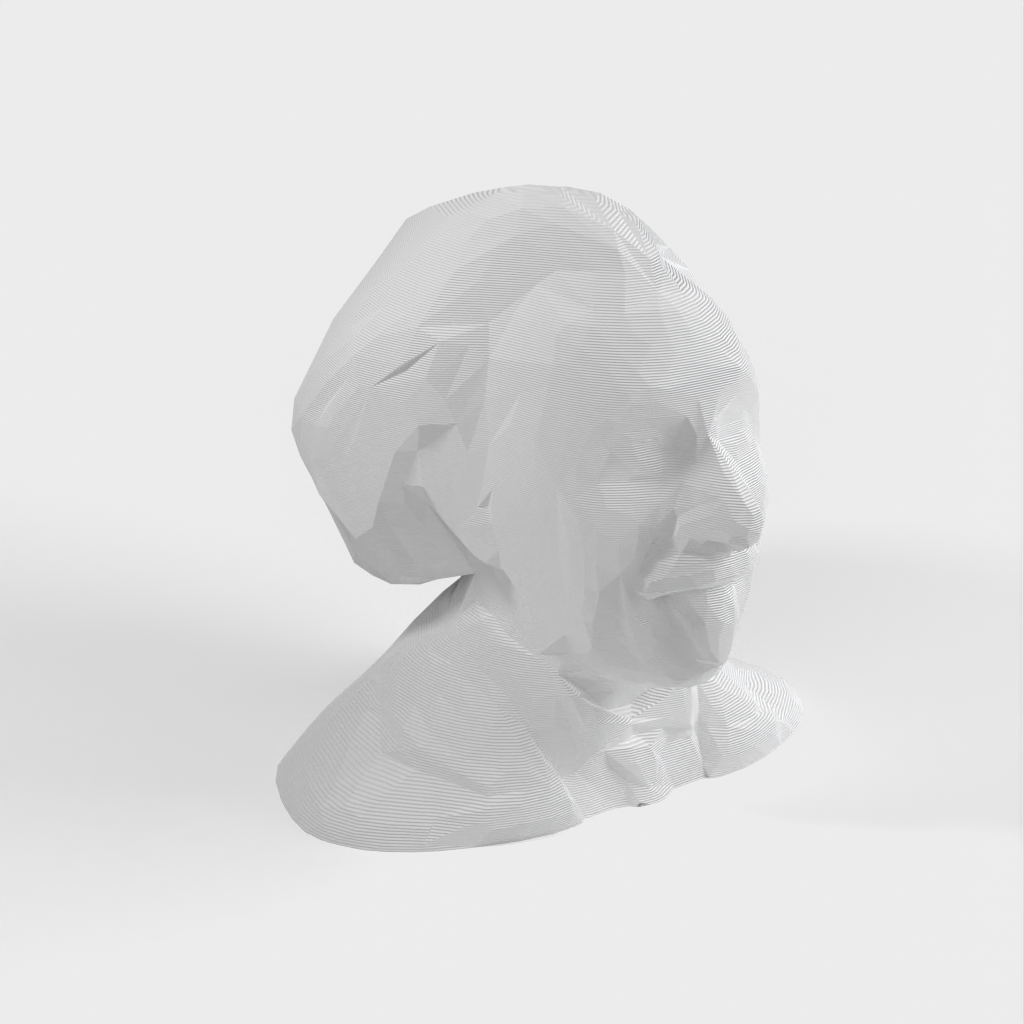 Low Poly Albert Einstein Buste/Sculpture