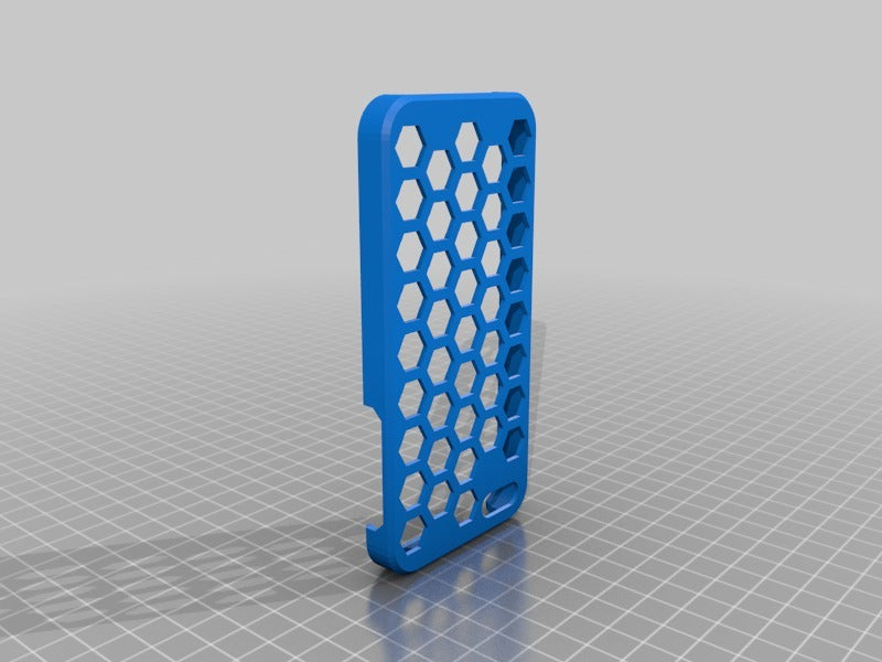 iPhone 5s Etui lisse et protecteur