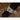 Support pour chauffe-aquarium en ligne Hydor