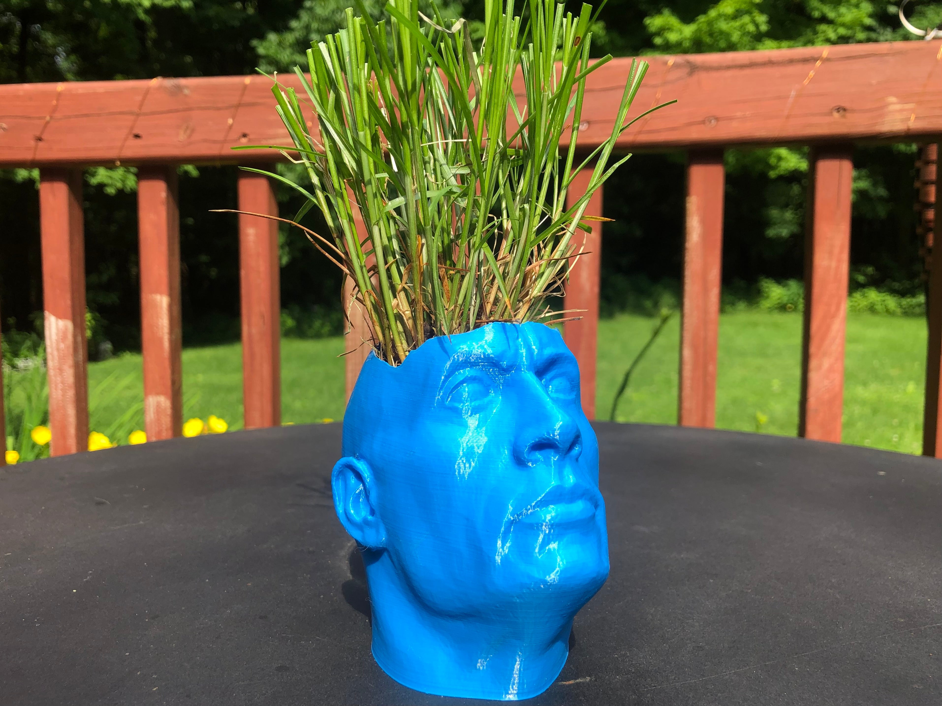 Dwayne 'The Pot' Johnson - Unique pot de plante