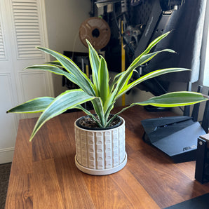 Pot de fleurs mid-century moderne avec soucoupe
