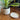 Pot de fleurs mid-century moderne avec soucoupe