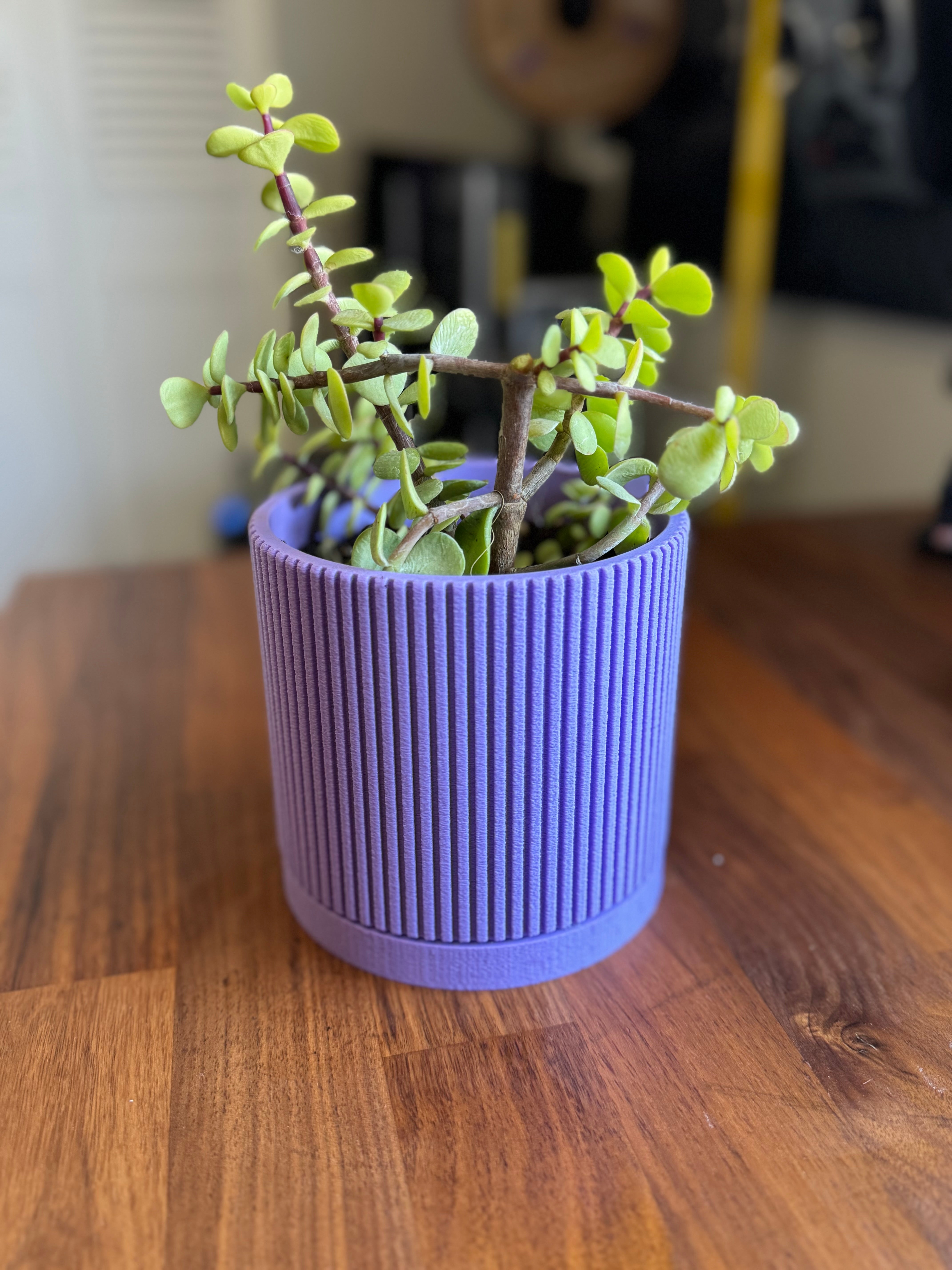 Pot de plante Mid Century Modern avec bac de drainage - Rainures linéaires