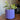 Pot de plante Mid Century Modern avec bac de drainage - Rainures linéaires