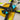 Support de montage et de condensateur pour Project 399 Practice Rig 03