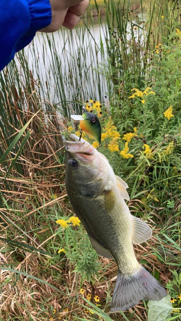 Fiskekrabbait - Leurre de pêche efficace pour votre prochaine partie de pêche