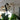Crochet mural pour suspendre des plantes