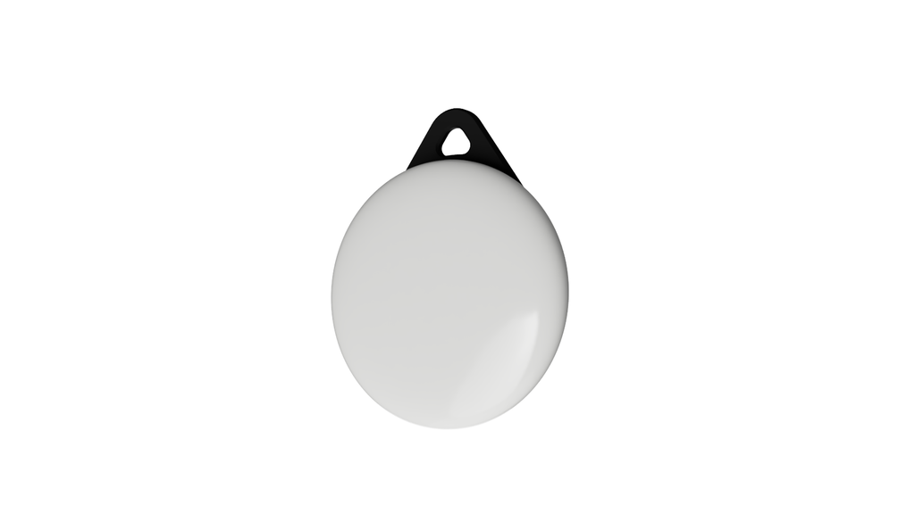 Le plus petit porte-clés AirTag