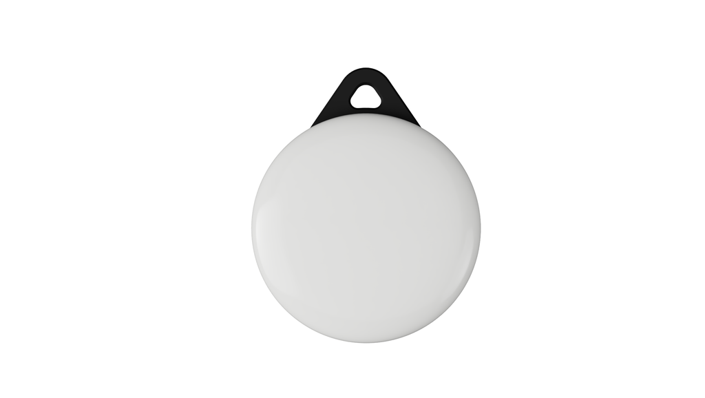 Le plus petit porte-clés AirTag