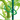 Pinces à plantes pratiques pour plantes grimpantes