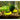 Pot de fleurs pratique pour plantes aquatiques d'aquarium