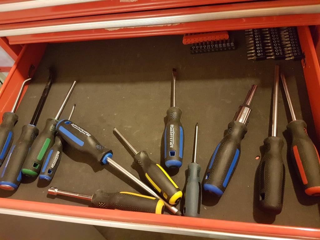 Organisateur de tournevis pour tiroir à outils