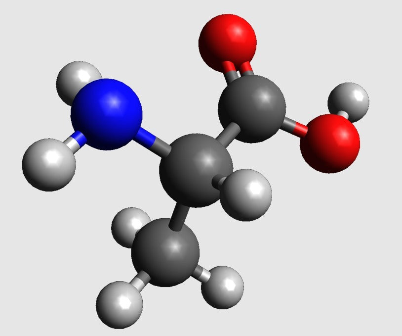 Modèle moléculaire de l'alanine à l'échelle atomique